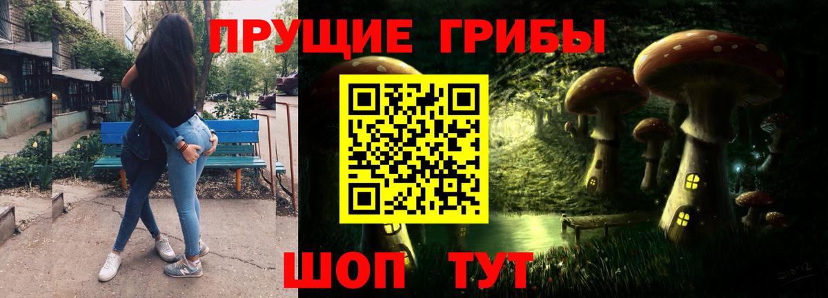Заволжье  Псилоцибиновые грибы прущие грибы  Вход с VPN  Галлюциногенные грибы Cubensis 